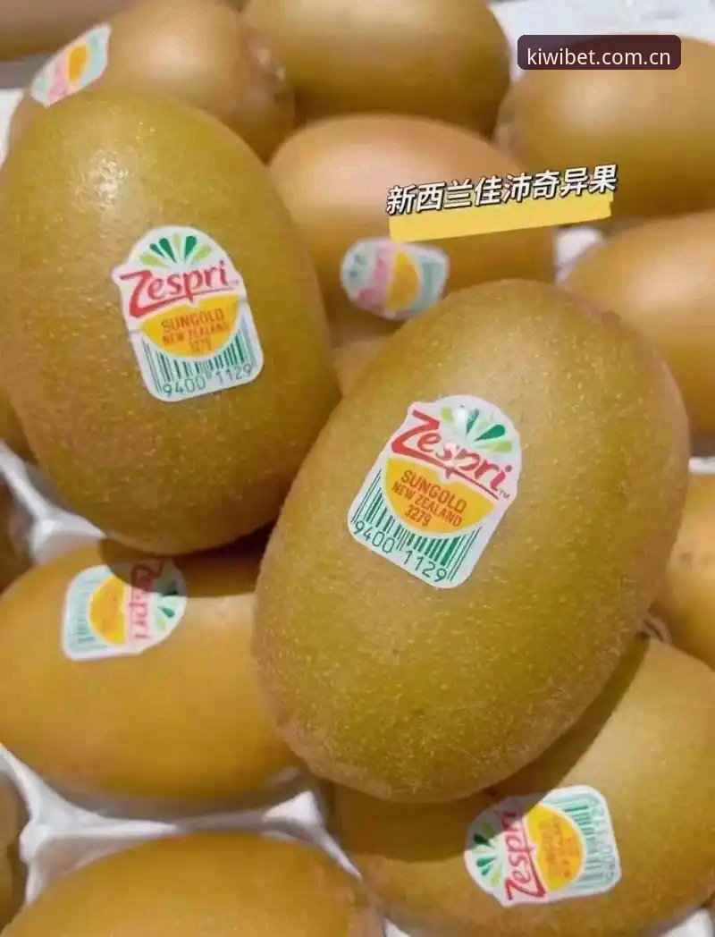一个实战派用户分享奇异果买球APP使用心得——从下载到实战的全流程体验