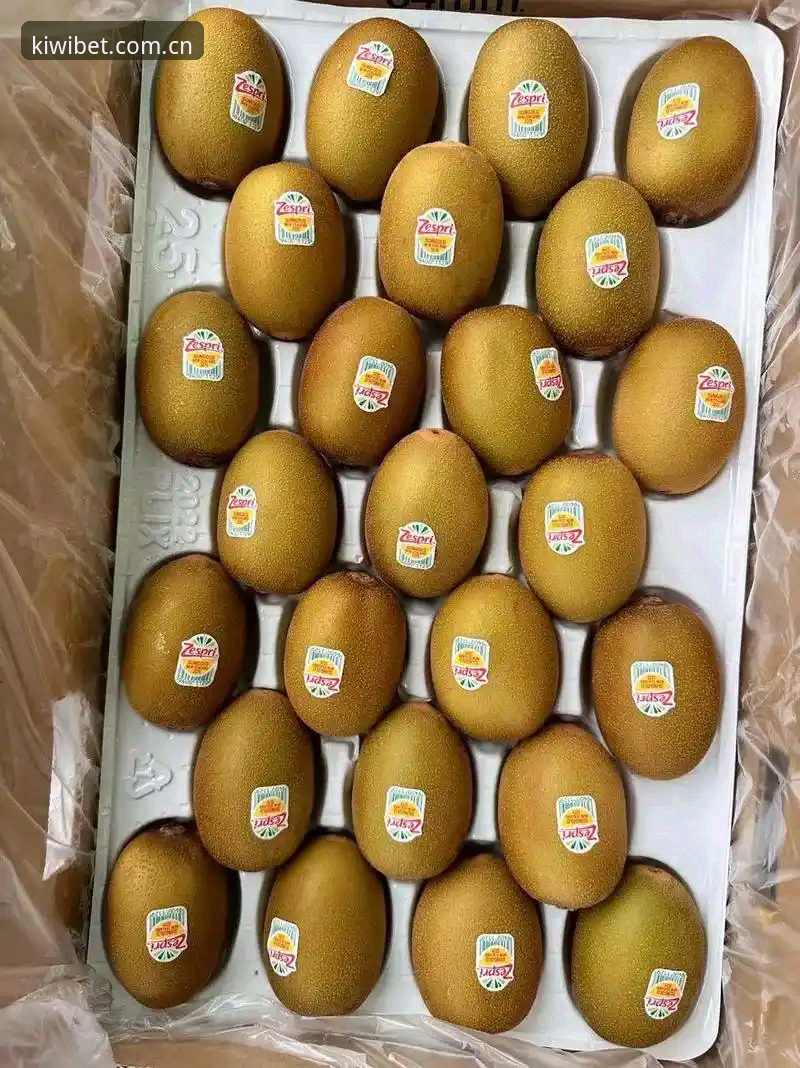 奇异果买球APP 一个实战派用户分享奇异果买球APP使用心得——从下载到实战的全流程体验
